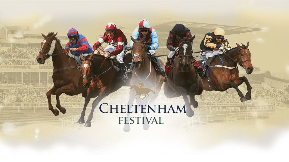 Cheltenham Festival 2024 Luxury Chauffeur Services Lifestyle Chauffeurs